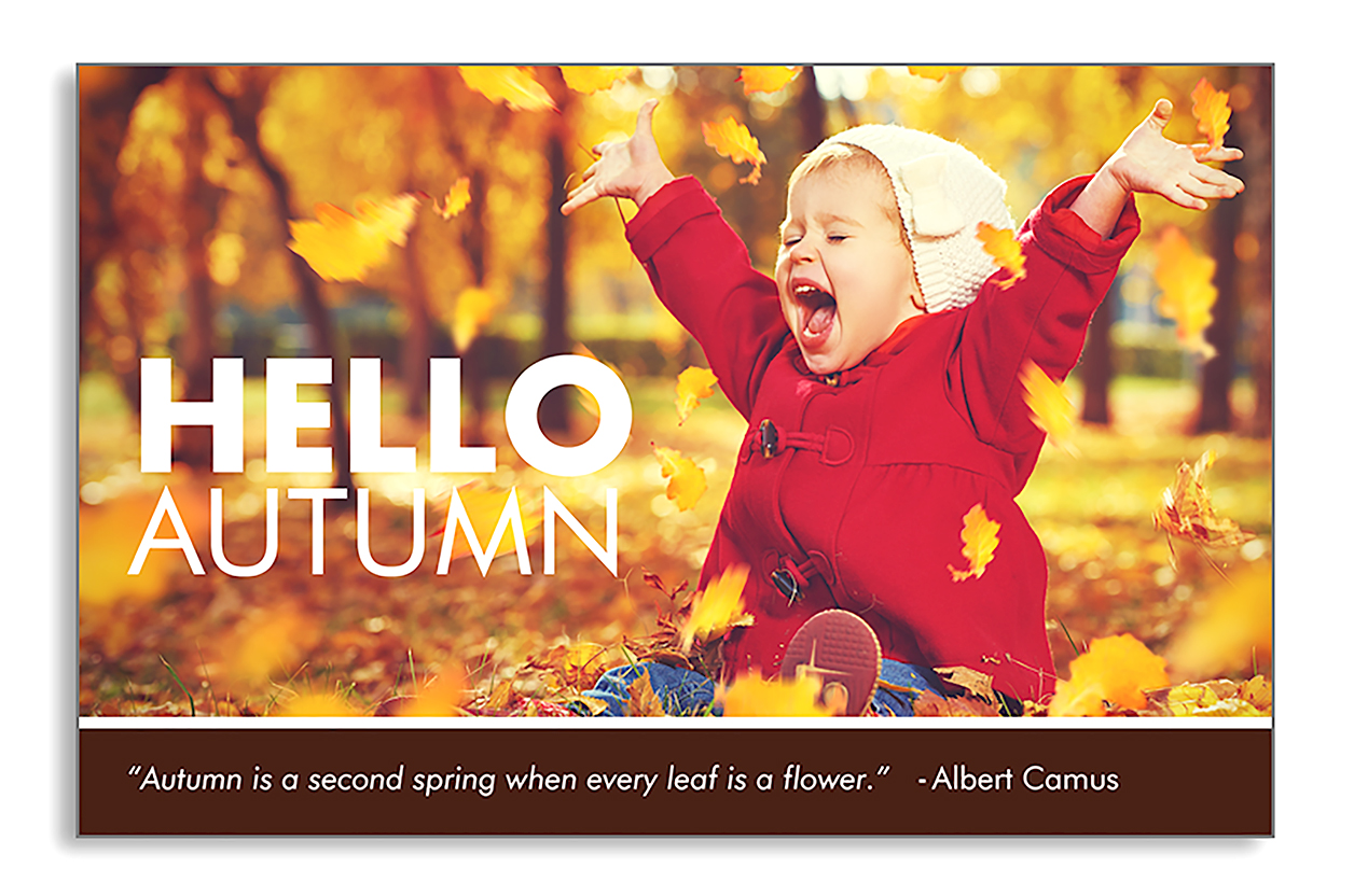 Autumn marketing postcard for agents