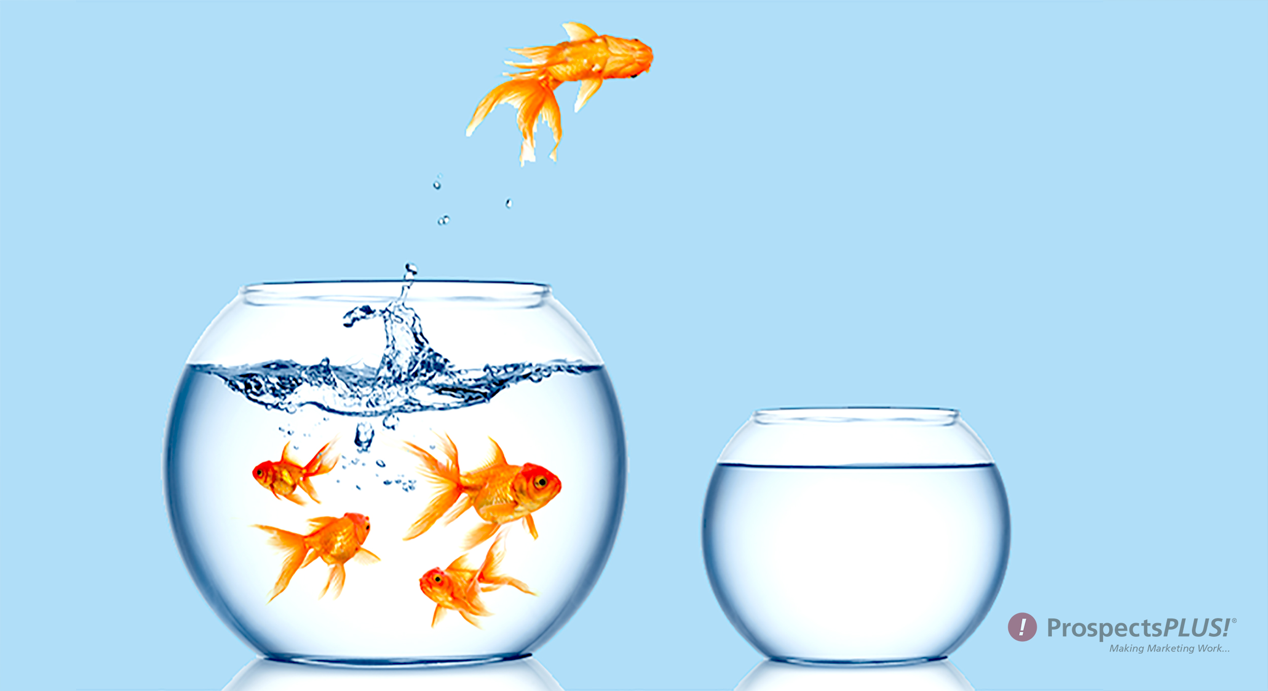 Want More Listings? Become a BIG FISH in a Small Pond