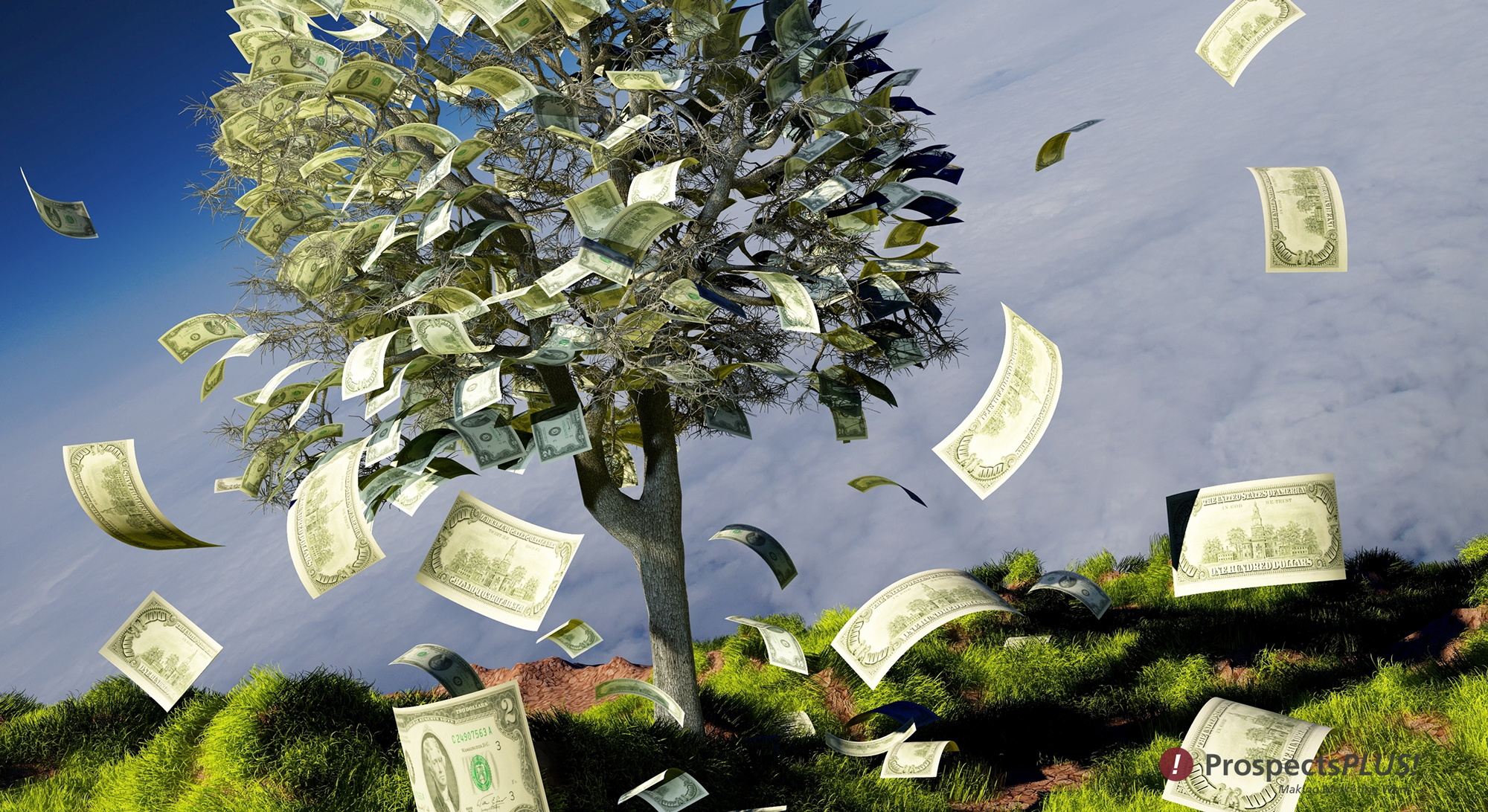 Березка деньги. Дерево с деньгами. Деньги и природа. Денежное дерево с деньгами. Дерево из денег.